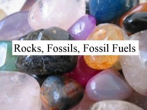 Minerals Rocks Rocks Fossils Fossil Fuels Sedimentary Rock