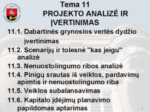 Tema 11 PROJEKTO ANALIZ IR VERTINIMAS 11 1