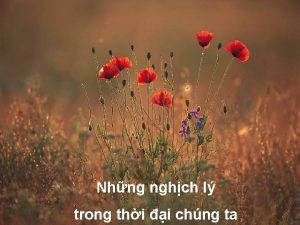 Nhng nghch l trong thi i chng ta