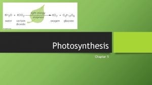 Photosynthesis Chapter 5 Overview of Photosynthesis Converts solar