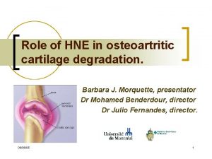 Role of HNE in osteoartritic cartilage degradation Barbara