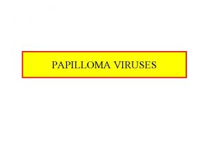 PAPILLOMA VIRUSES Papilloma Viruses Characteristics ds DNA viruses