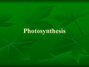Photosynthesis Photosynthesis summary l https www youtube comwatch