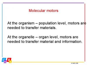Molecular motors At the organism population level motors