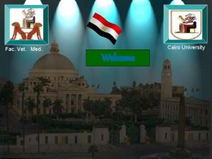 Cairo University Fac Vet Med Welcome Paratuberculosis in