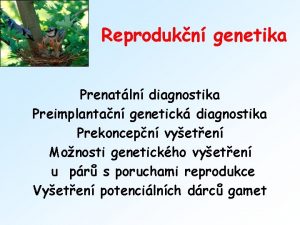 Reprodukn genetika Prenatln diagnostika Preimplantan genetick diagnostika Prekoncepn