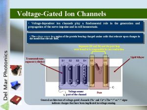 VoltageGated Ion Channels Voltagedependent ion channels play a