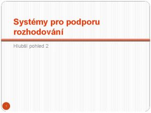 Systmy pro podporu rozhodovn Hlub pohled 2 1