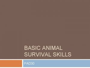 BASIC ANIMAL SURVIVAL SKILLS PAD 30 Snakes How