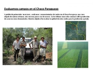 Evaluamos campos en el Chaco Paraguayo A pedido