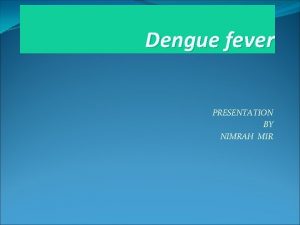 Dengue fever PRESENTATION BY NIMRAH MIR Dengue Dengue