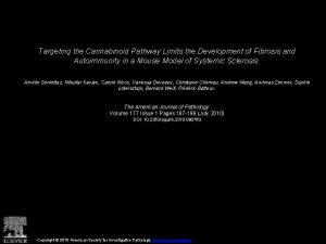 Targeting the Cannabinoid Pathway Limits the Development of