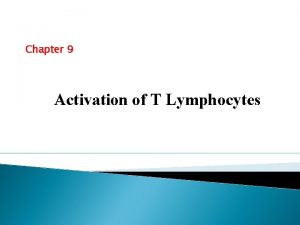 Chapter 9 Activation of T Lymphocytes Activation and