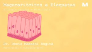 Megacaricitos e Plaquetas Biologia Celular e Histologia Dr