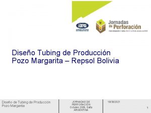 Diseo Tubing de Produccin Pozo Margarita Repsol Bolivia