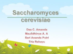 Saccharomyces cerevisiae Tittle Issues Purpose Variabel Hypothesis Materials