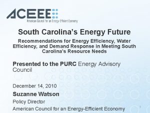 South Carolinas Energy Future Recommendations for Energy Efficiency