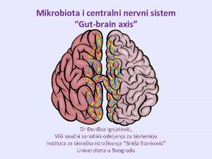 Mikrobiota i centralni nervni sistem Gutbrain axis Dr