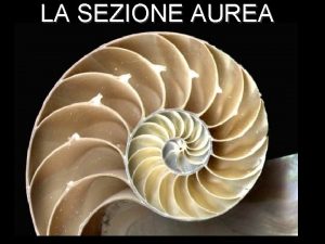 LA SEZIONE AUREA Realizzato da Liceo Leopardi Majorana