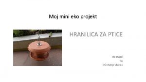 Moj mini eko projekt HRANILICA ZA PTICE Teo