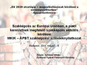 EU 2020 stratgia megvalstsnak krdsei a versenyszektorban gazati