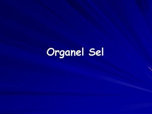 Organel Sel Sel Unit dari struktur dan fungsi