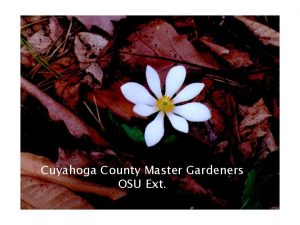 Cuyahoga County Master Gardeners OSU Ext Master Gardeners