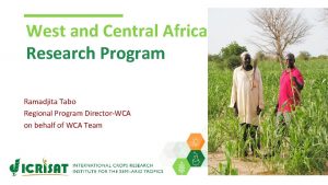 West and Central Africa Research Program Ramadjita Tabo