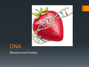 DNA Structure and Function WHAT IS DNA DNA