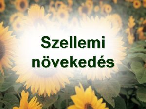 Szellemi nvekeds EFZUS 4 11 15 s adott