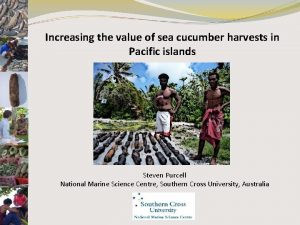 Increasing the value of sea cucumber harvests in