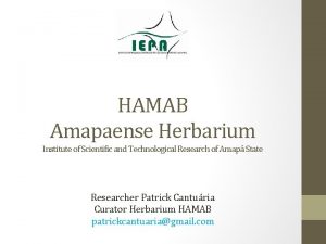 HAMAB Amapaense Herbarium Institute of Scientific and Technological