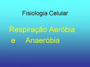 Fisiologia Celular Respirao Aerbia e Anaerbia Respirao Celular