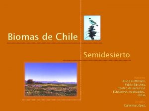 Biomas de Chile Semidesierto Autores Alicia Hoffmann Pablo