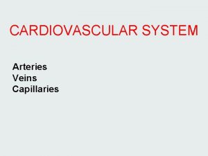 CARDIOVASCULAR SYSTEM Arteries Veins Capillaries HEART Adult 240