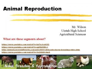 Animal Reproduction Mr Wilson Uintah High School Agricultural