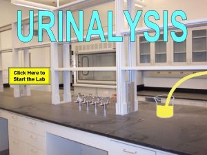 Click Here to Start the Lab URINALYSIS LAB