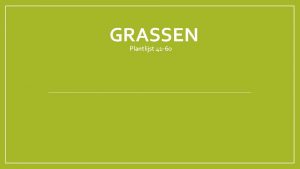 GRASSEN Plantlijst 41 60 41 Engels raaigras Lolium