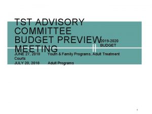 TST ADVISORY COMMITTEE BUDGET PREVIEW 2019 2020 BUDGET