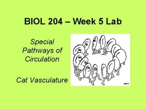 BIOL 204 Week 5 Lab Special Pathways of