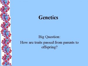 Genetics Big Question How are traits passed from