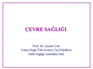 EVRE SALII Prof Dr anda al Yakn Dou