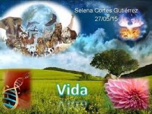 Selena Cortes Gutirrez 270515 VIDA En el latn