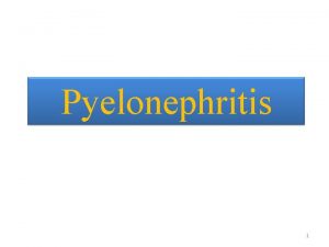 Pyelonephritis 1 Definition It is Bacterial infection of