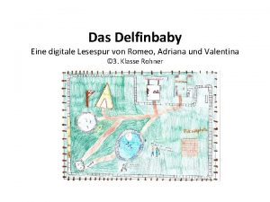 Das Delfinbaby Eine digitale Lesespur von Romeo Adriana