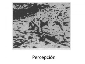 Percepcin Definicin Conjunto de procesos que nos permiten