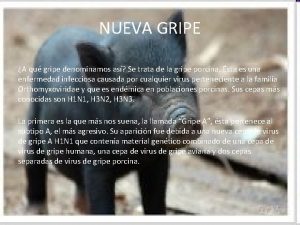 NUEVA GRIPE A qu gripe denominamos as Se