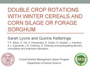 DOUBLE CROP ROTATIONS WITH WINTER CEREALS AND CORN