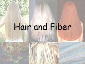 Hair and Fiber What is hair Its an