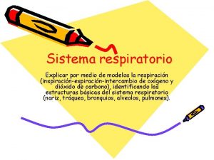 Sistema respiratorio Explicar por medio de modelos la